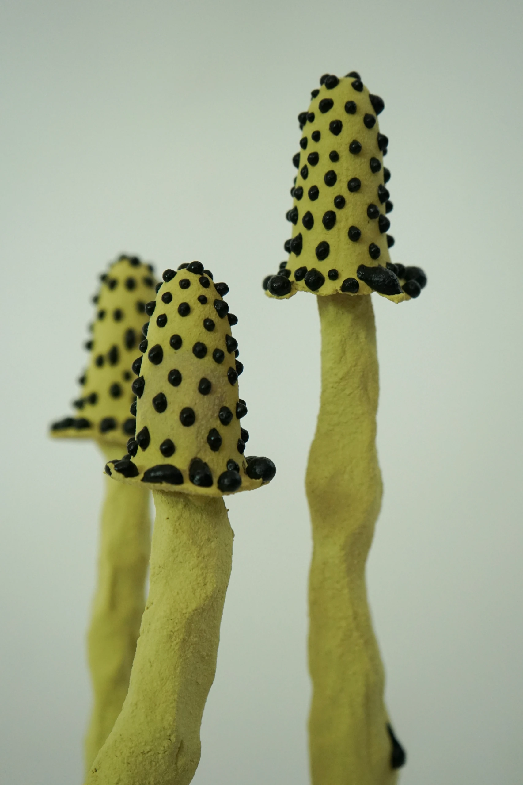 Yellow Black Inkcap (2026), ceramic sculpture by Sjors Driessen with a slender black mushroom-like form finished with textured yellow glaze.