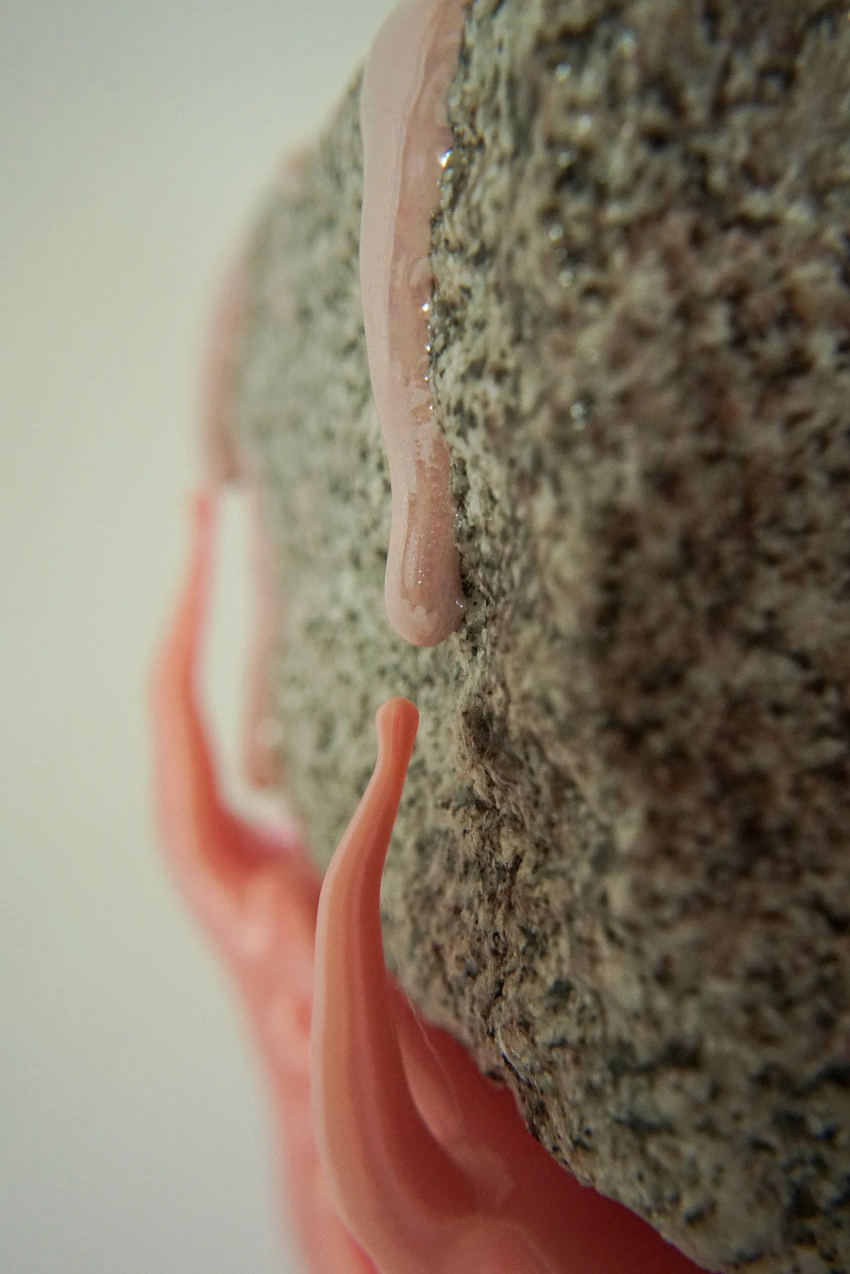 Pink Hyphae (2026), sculpture by Sjors Driessen combining granite with pink glaze and branching pink hyphae-like structures that appear to support and grow around the stone.