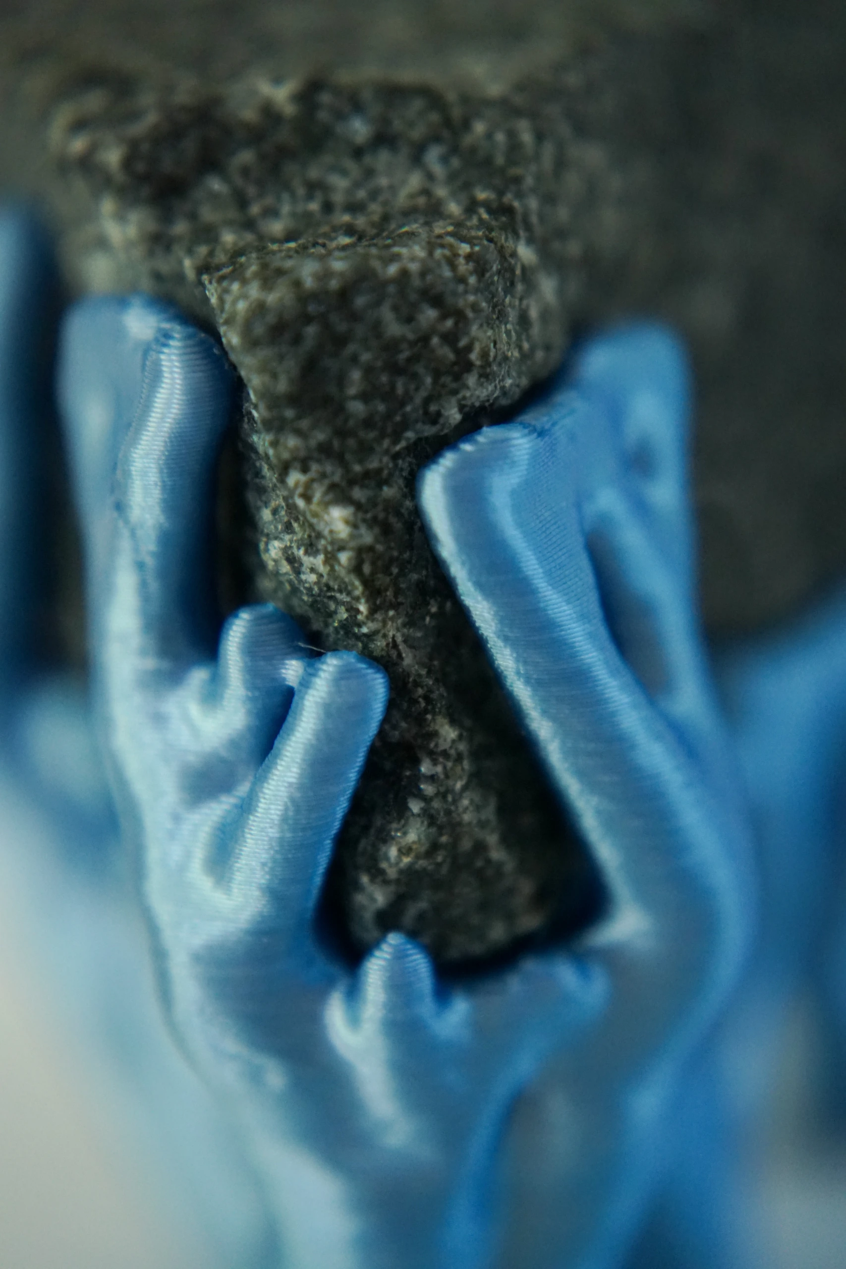 Blue Hyphae III (2026), sculpture by Sjors Driessen with three dark olivine diabase stones supported by bright blue branching hyphae-like structures.