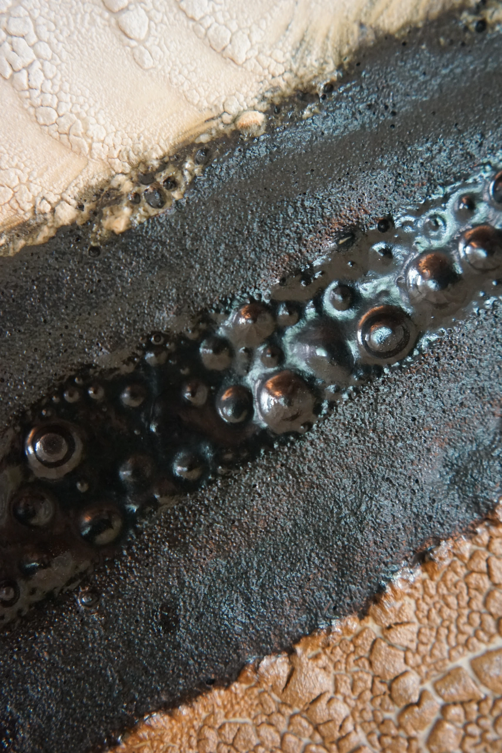 Zubrawi (2024), ceramic wall sculpture by Sjors Driessen combining glazed ceramic elements with American oak in a 90 × 120 cm composition.