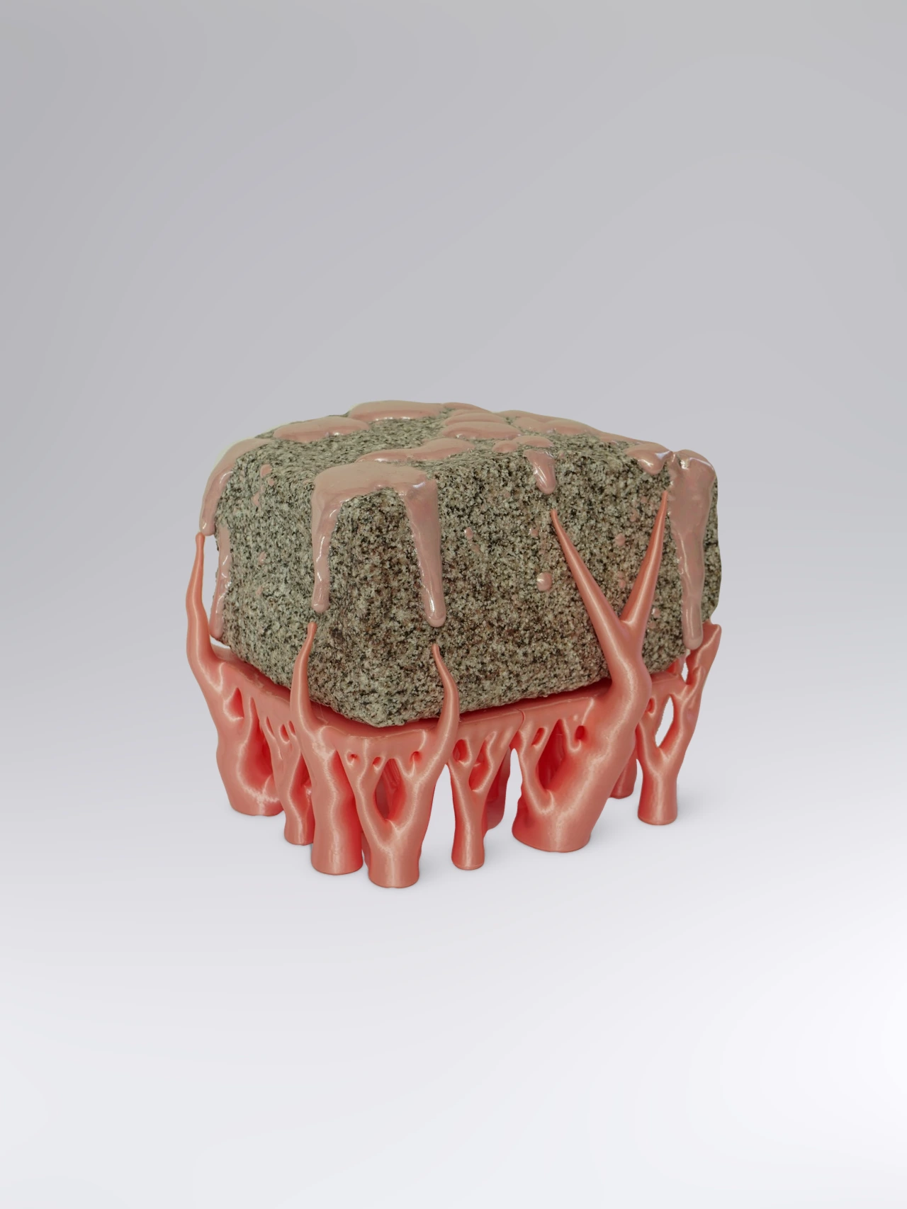 Pink hyphaePink hyphae