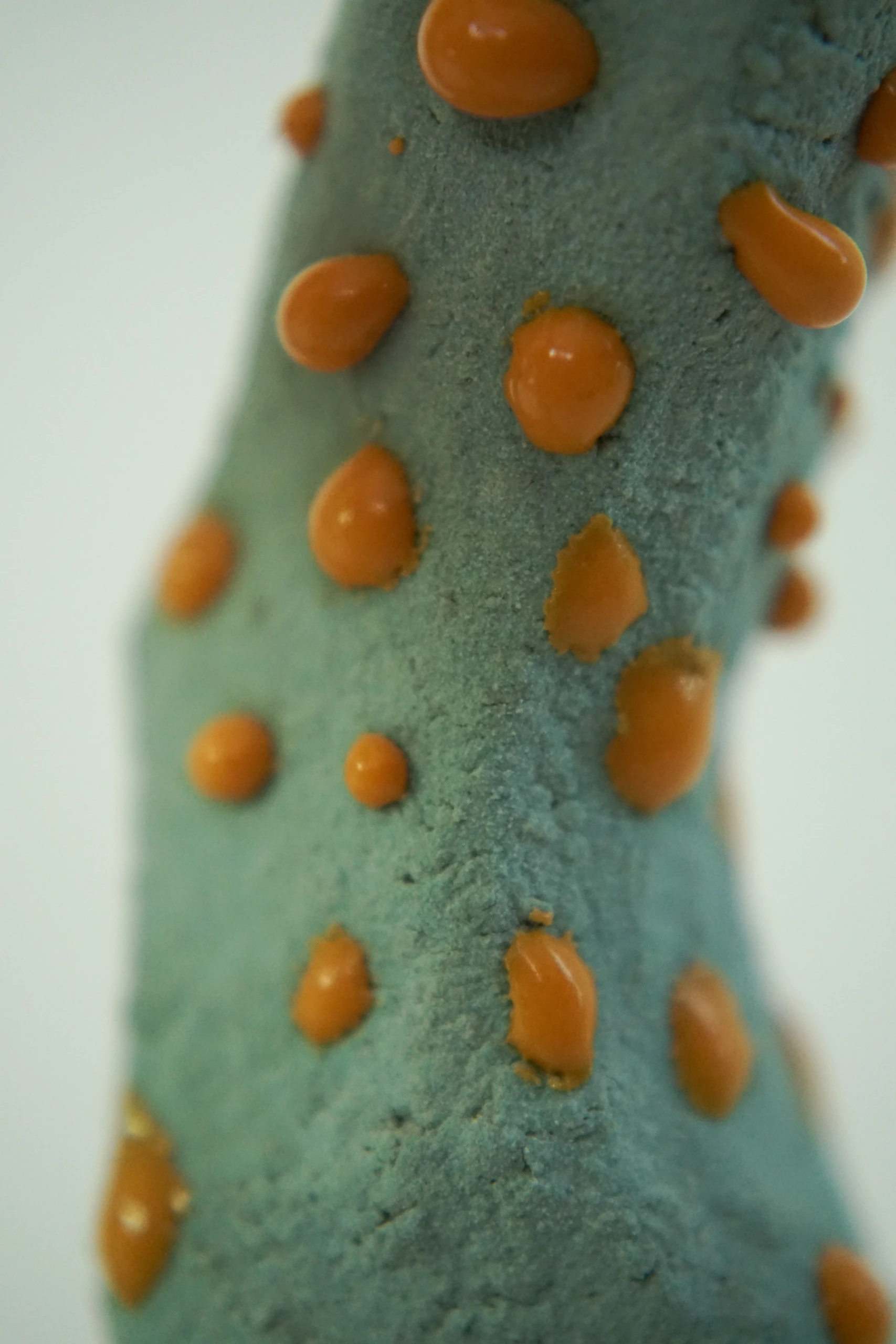 Orange Blue Roundcap (2026), ceramic sculpture by Sjors Driessen with a rounded orange mushroom-like form finished with textured blue glaze.