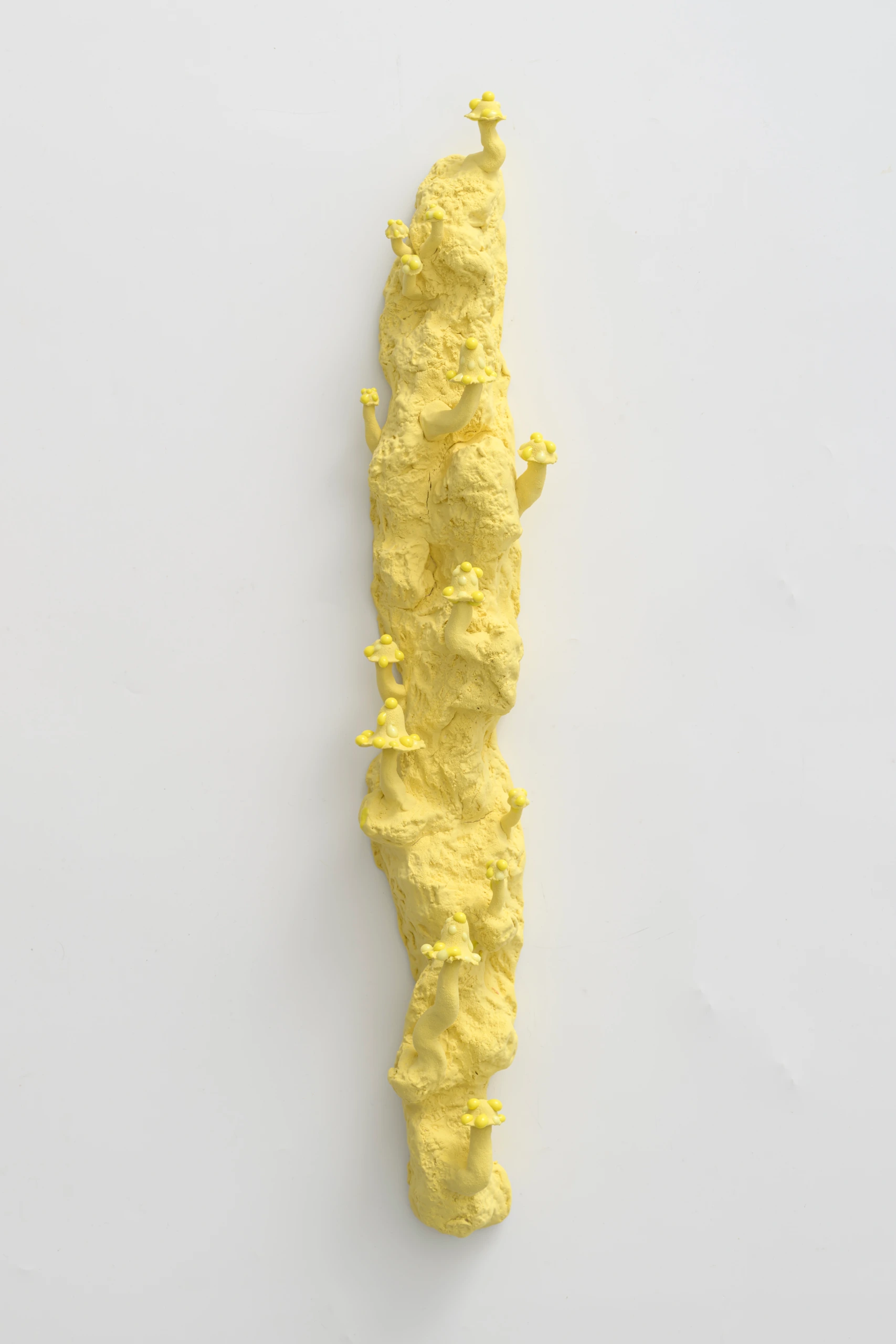 Small Yellow Inkcaps (2024), ceramic wall sculpture by Sjors Driessen with small yellow fungal growths across an elongated textured form.